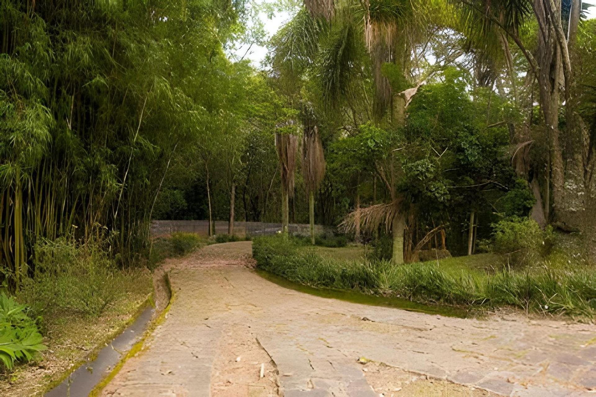 הוילה Sitio Em Sao Roque, Paraiso Ao Lado De Sao Paulo! מראה חיצוני תמונה