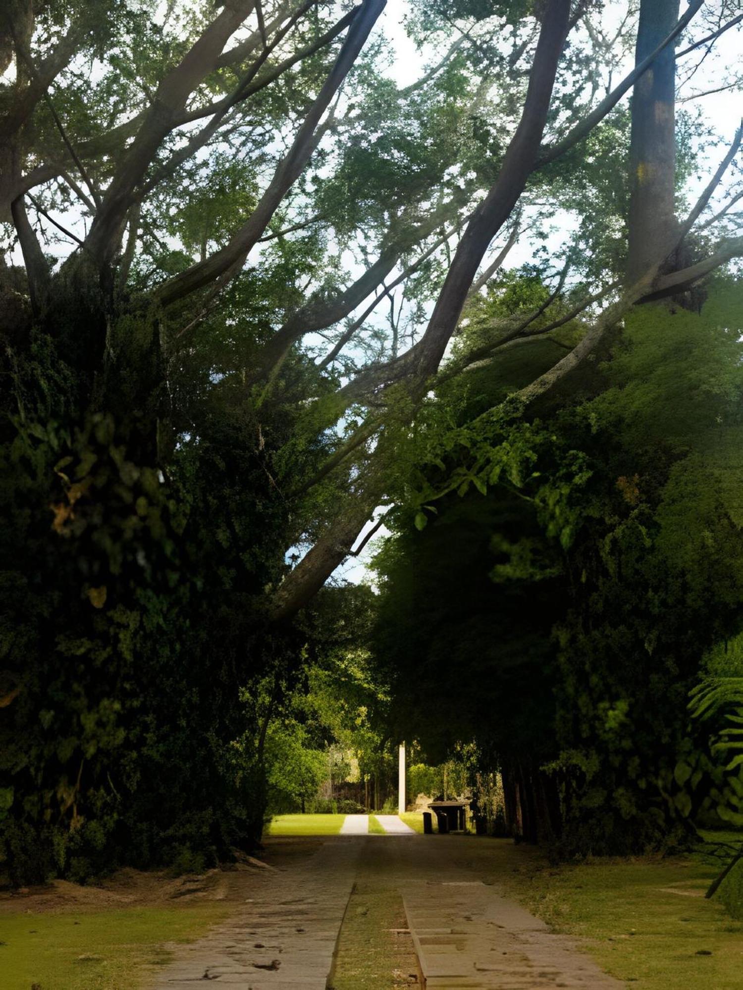 הוילה Sitio Em Sao Roque, Paraiso Ao Lado De Sao Paulo! מראה חיצוני תמונה