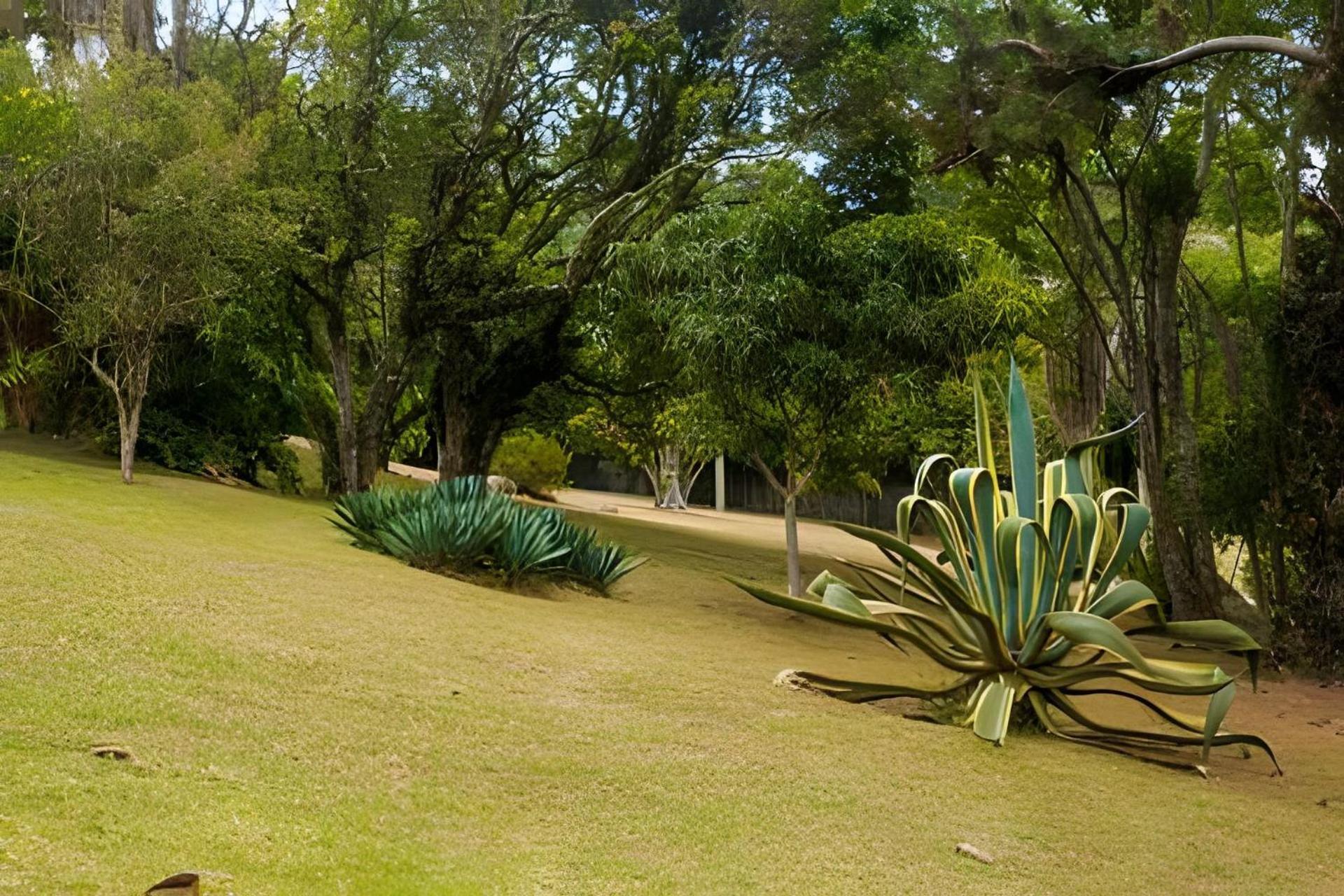 הוילה Sitio Em Sao Roque, Paraiso Ao Lado De Sao Paulo! מראה חיצוני תמונה