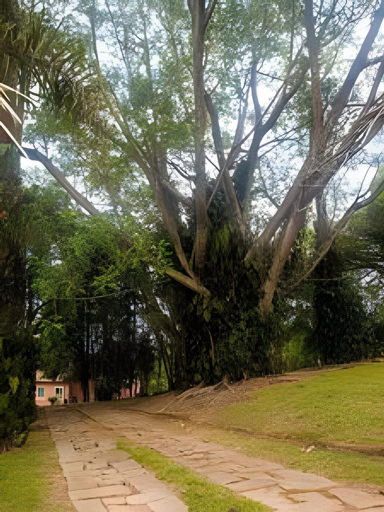 הוילה Sitio Em Sao Roque, Paraiso Ao Lado De Sao Paulo! מראה חיצוני תמונה